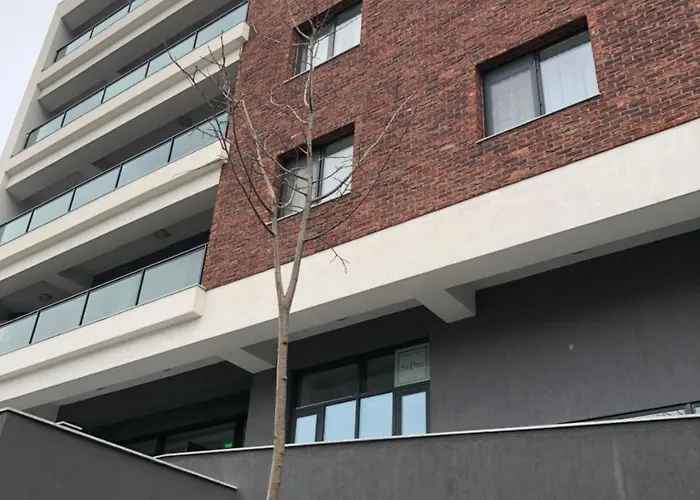 Minulescu 39 公寓式酒店 *