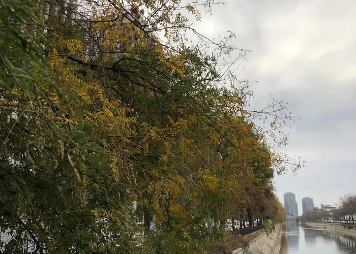 Minulescu 39 شقة فندقية